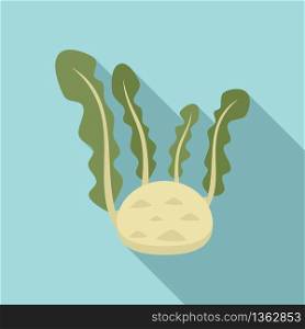 Root cabbage icon. Flat illustration of root cabbage vector icon for web design. Root cabbage icon, flat style