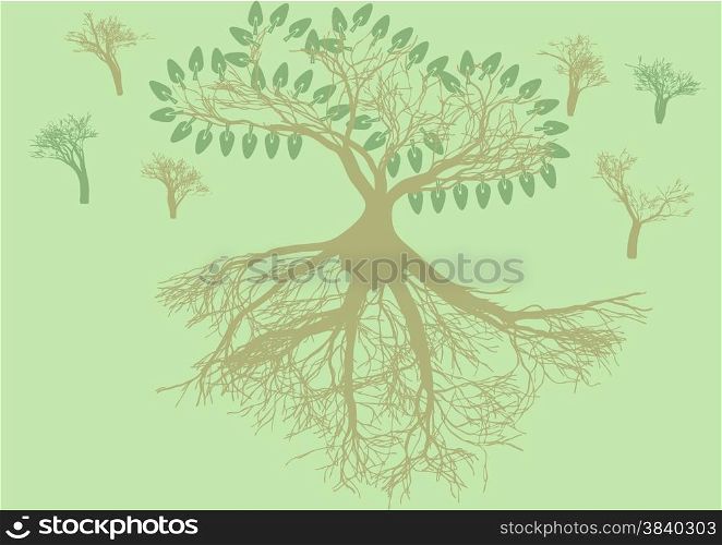 root system. abstract naturw background with trees