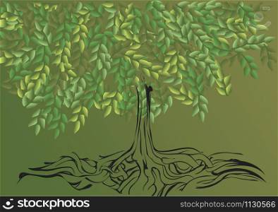 root systemof tree. abstract nature background with tree
