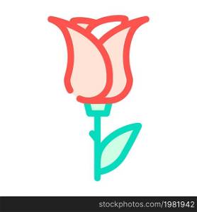 rose aromatic flower color icon vector. rose aromatic flower sign. isolated symbol illustration. rose aromatic flower color icon vector illustration