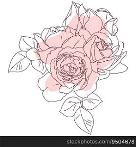 Rose blossom flower bouquet art, line with abstract shape. Hand drawn realistic detailed vector illustration isolated.. Rose blossom flower bouquet art, line with abstract shape. Hand drawn realistic detailed vector illustration.