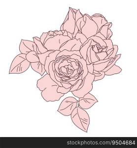 Rose blossom flower bouquet line with fill art. Hand drawn realistic detailed vector illustration isolated.. Rose blossom flower bouquet line with fill art. Hand drawn realistic detailed vector illustration.