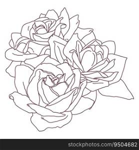 Rose blossom flower bouquet outline art. Hand drawn realistic detailed vector illustration isolated.. Rose blossom flower bouquet outline art. Hand drawn realistic detailed vector illustration.