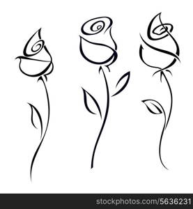 Rose blossoms isolated on white background. Vector illustration.