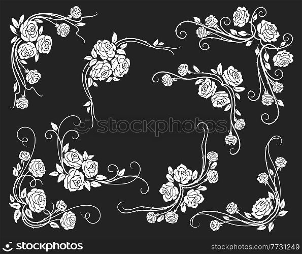Rose corners and borders, dividers with scrolls, leaves and flower buds. White rose floral vintage vector swirls and flourish ornaments or embellishments for wedding or marriage decoration. Rose corners and borders, dividers with scrolls