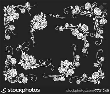 Rose corners and borders, dividers with scrolls, leaves and flower buds. White rose floral vintage vector swirls and flourish ornaments or embellishments for wedding or marriage decoration. Rose corners and borders, dividers with scrolls