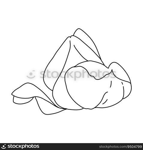 Rose flower bud line art. Hand drawn realistic detailed vector illustration. Black and white clipart isolated.. Rose flower bud line art. Hand drawn realistic detailed vector illustration. Black and white clipart.