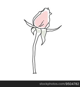 Rose flower bud on stem line art with pink shape. Hand drawn realistic detailed vector illustration. Black line on pink abstract organic shape clipart isolated.. Rose flower bud on stem line art with pink shape. Hand drawn realistic detailed vector illustration. Black line on pink abstract organic shape clipart.