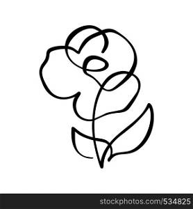 Rose flower concept. Continuous line hand drawing calligraphic vector logo. Scandinavian spring floral design element in minimal style. black and white.. Rose flower concept. Continuous line hand drawing calligraphic vector logo. Scandinavian spring floral design element in minimal style. black and white