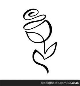 Rose flower concept. Continuous line hand drawing calligraphic vector logo. Scandinavian spring floral design element in minimal style. black and white.. Rose flower concept. Continuous line hand drawing calligraphic vector logo. Scandinavian spring floral design element in minimal style. black and white