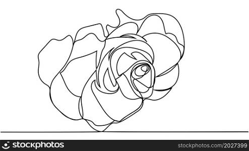 rose flower. Continuous one line drawing of rose flower minimalist design minimalism concept. Continuous one line drawing of rose flower minimalist design minimalism concept