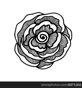 Rose flower, doodle hand drawn elements for design. Cute rose flower