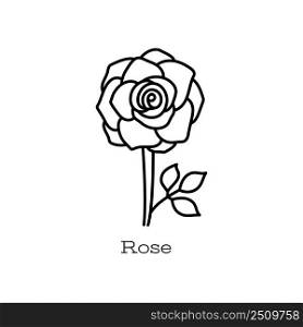 Rose flower. Doodle vector hand drawn line sketch. Floral illustration for coloring book.. Rose flower. Doodle vector hand drawn line sketch. Floral illustration for coloring book