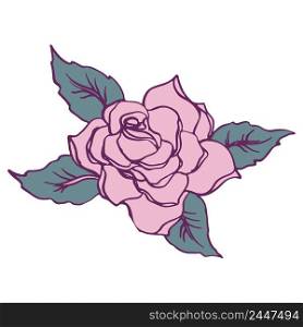 Rose flower illustration hand drawn vector isolated. Rose flower illustration hand drawn vector