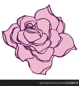 Rose flower illustration. Hand drawn vector isolated.. Rose flower illustration. Hand drawn vector.