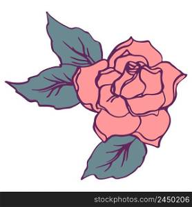Rose flower illustration hand drawn vector isolated.. Rose flower illustration hand drawn vector