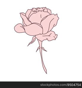 Rose flower in bloom with stem line filled pink color illustration. Hand drawn realistic detailed vector illustration. Black and white clipart isolated.. Rose flower in bloom with stem line filled pink color illustration. Hand drawn realistic detailed vector illustration. Black and white clipart.