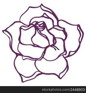 Rose flower line art in realistic style. Vector image isolated.. Rose flower line art in realistic style. Vector image