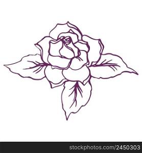 Rose flower line art in realistic style. Vector image isolated.. Rose flower line art in realistic style. Vector image