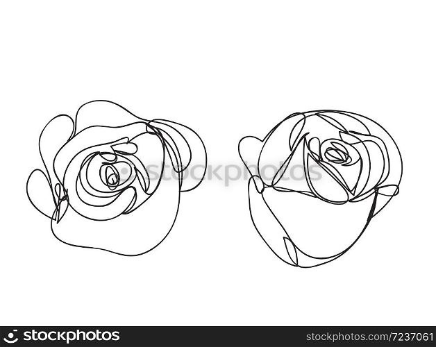 rose Flower, line drawing style, art design
