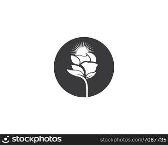 Rose flower Logo Template design