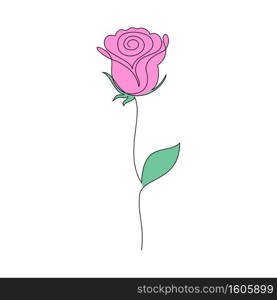 Rose flower on white background. One line drawing style.
. Rose flower on white 