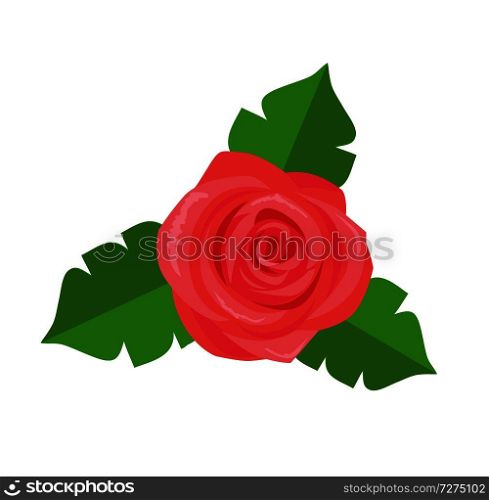 Rose flower with green leaves vector decorative sticker isolated on white background. Pink blossom of delicate plant, decor element for web print. Rose Flower Green Leaves Vector Decorative Sticker
