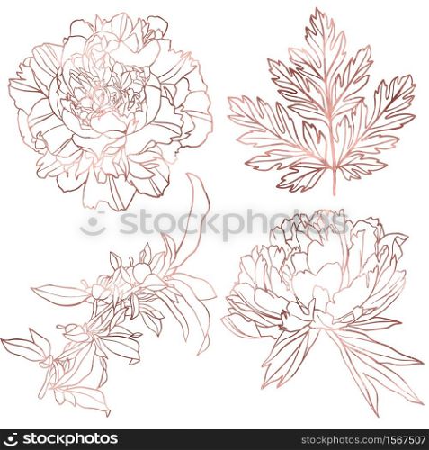 Rose gold floral elements collection, hand drawn vector illustration