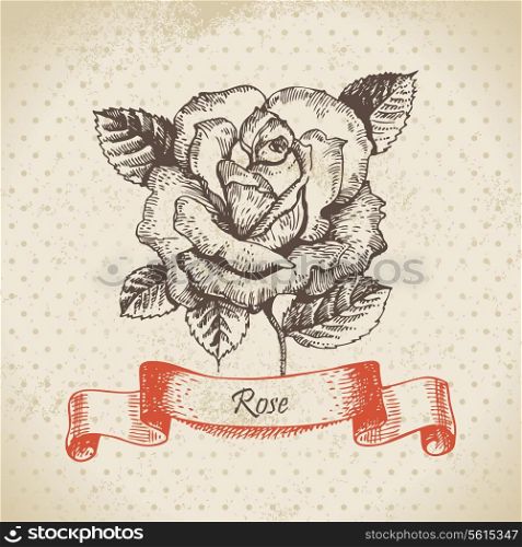 Rose. Hand drawn vintage design