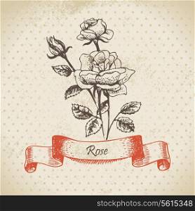 Rose. Hand drawn vintage design