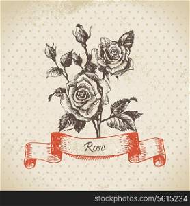 Rose. Hand drawn vintage design&#x9;