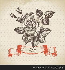 Rose. Hand drawn vintage design&#x9;