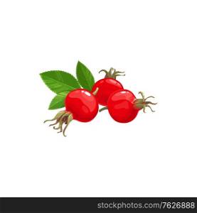 Rose hip fruits icon, berries food from farm garden and wild forest vector. Rosehip fruits, rose hip or hep haw ripe harvest for jam or juice package food ingredient, natural organic dessert berries. Rose hip fruits icon, berries food of farm garden