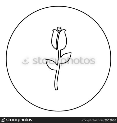 Rose icon in circle round black color vector illustration image outline contour line thin style simple. Rose icon in circle round black color vector illustration image outline contour line thin style
