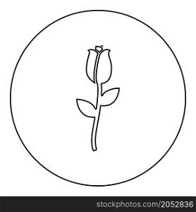 Rose icon in circle round black color vector illustration image outline contour line thin style simple. Rose icon in circle round black color vector illustration image outline contour line thin style