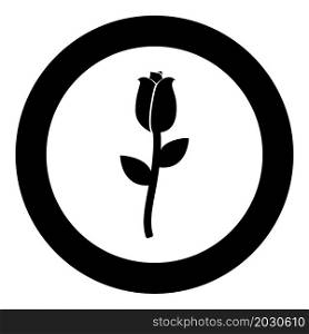 Rose icon in circle round black color vector illustration image solid outline style simple. Rose icon in circle round black color vector illustration image solid outline style