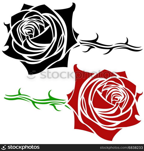 rose illustration isolated