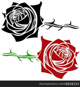 rose illustration isolated