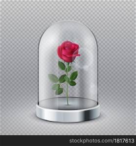 Rose in glass dome. Isolated beautiful red flower under transparent flask. Fairy tale symbol, beauty interior decoration vector illustration. Rose bloom under glass, flower in flask dome. Rose in glass dome. Isolated beautiful red flower under transparent flask. Fairy tale symbol, beauty interior decoration vector illustration