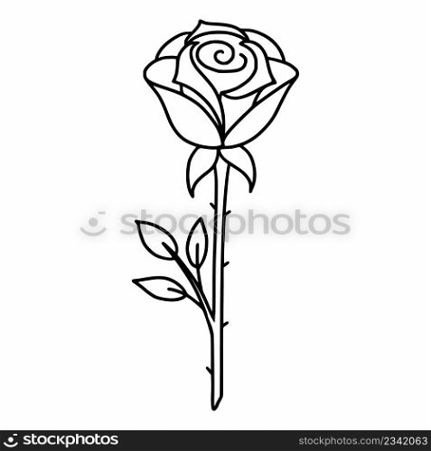 Rose on white background. Vector doodle illustration. Beautiful flower. Postcard decor element.