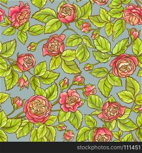 rose vector pattern. color vector seamless pattern of rose flowers