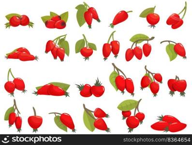Rosehip icons set cartoon vector. Agriculture juice. Berry bio. Rosehip icons set cartoon vector. Agriculture juice