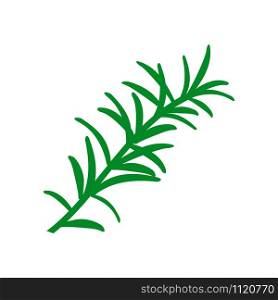 Rosemary branch. Isolated on white background. Hand drawn vector illustration. Retro style. flat Vector illustration for web logo. Rosemary branch. Isolated on white background. Hand drawn vector illustration. Retro style.