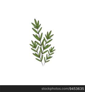 Rosemary  logo vector illustration template business element and symbol design