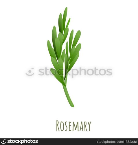 Rosemary plant icon. Cartoon of rosemary plant vector icon for web design isolated on white background. Rosemary plant icon, cartoon style