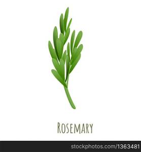 Rosemary plant icon. Cartoon of rosemary plant vector icon for web design isolated on white background. Rosemary plant icon, cartoon style