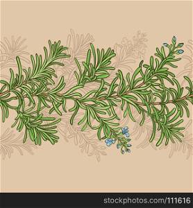 rosemary vector pattern. rosemary plant vector pattern on color background