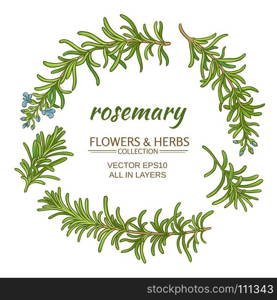 rosemary vector set. rosemary plant vector set on white background