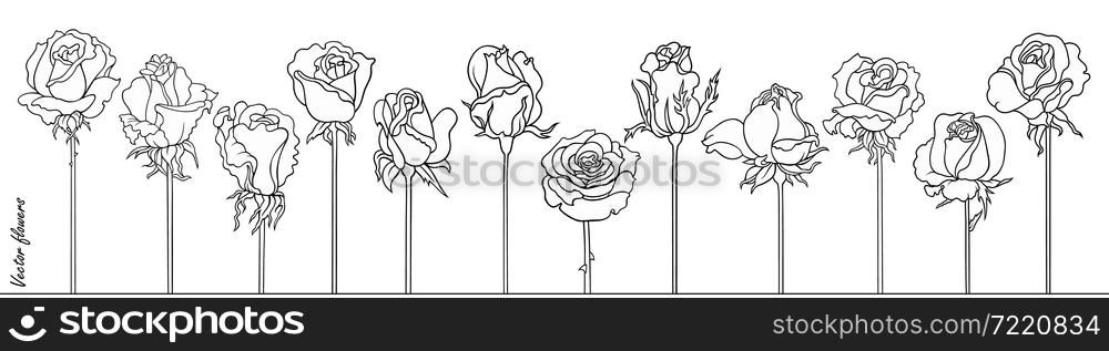 Roses line art vector hand drawn set. Minimalistic sketchy decorative flowers.. Roses line art vector hand drawn set. Minimalistic sketchy flowers.