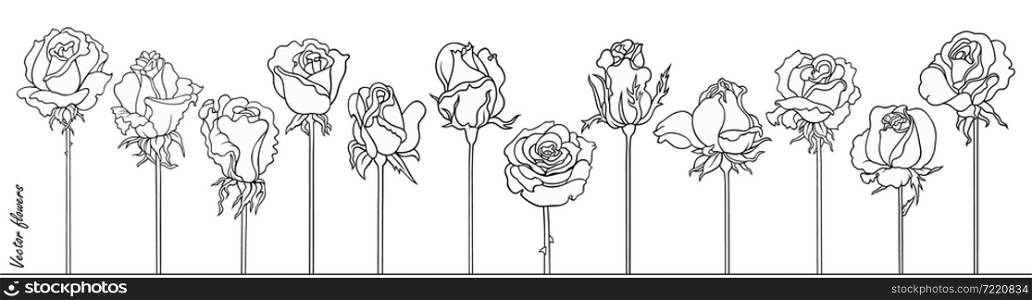 Roses line art vector hand drawn set. Minimalistic sketchy decorative flowers.. Roses line art vector hand drawn set. Minimalistic sketchy flowers.